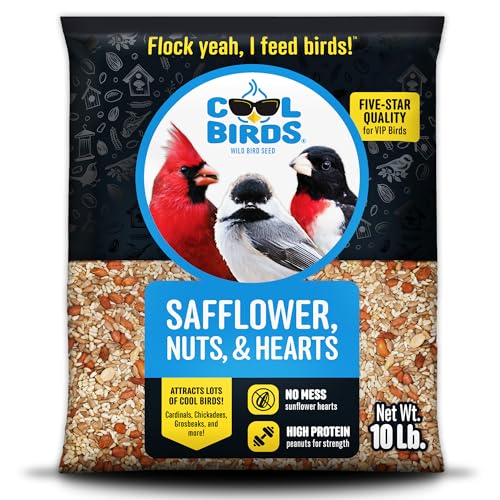 Cool Birds Safflower, Nuts & Hearts Wild Bird Seed, 10 lb | Gourmet Bird Food with Safflower, Sunflower Hearts & Peanuts. No Corn, Milo or Millet, No Waste Bird Food for Outside Feeders