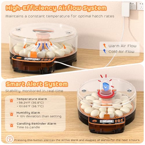 AsFrost Automatic Chicken Egg Incubator, Egg Incubator 24 Eggs | Digital Incubator with Dual Modes,Temp & Humidity Control,Auto Turner,Egg Candler, Incubator for Hatching Quail & Poultry Egg