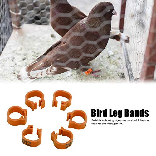 8mm Pigeon Leg Bands 0-100 Numbers Chicken Identification Leg Bands for Bantam Finch Dove Lovebird Coturnix Quail (Brown) - color: Brown