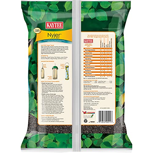 Kaytee Nyjer Seed for Finches & Other Wild Birds, 5 Pounds | Less mess. Finch bird seed for small songbirds. No hulls, 100% edible, bird seed for outside feeders - size: 3 Pound (Pack of 1), style: 3 Pound Bag