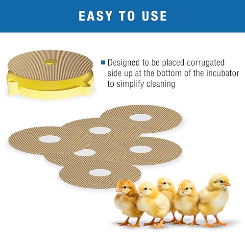 Brinsea Cardboard Hatching Mat for Mini Egg Incubators, Pack of 6 | Authentic Brinsea Mini II Incubators liner; textured, disposable floor covering helps chicks grip safely during hatching - size: Mini, 7 Eggs