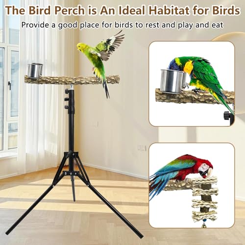 kathson 28-60inches Height Adjustable Bird Perch, Pepperwood Parrot Perch Stand with Feeding Cup, Multi-Purpose Bird Perches for Indoor and Outdoor Use, Designed for Small Medium Birds (3 PCS) - size: Bird Perch with Feeding Cup and Toy (3 Pieces)