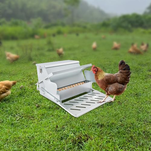 Galvanized Steel Automatic Chicken Feeder, 25LB Large Capacity Treadle Poultry Feeder, Rat Proof & Weatherproof Design for Hens, Ducks, Geese, Outdoor Feeding