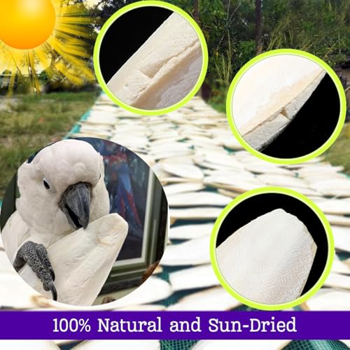 3.9-4.5'' Cuttlebone for Parakeets Cuttlebone for Birds - 100% Natural Cuttlefish Bone Bulk Chew Toy Bird Bites Calcium Stone for Canaries Tortoises,Snails,Reptiles,Parrots,Cockatiel-30PCS - size: 30PCS
