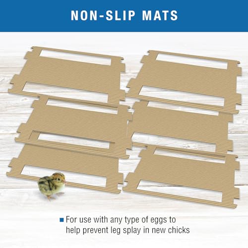 Brinsea Cardboard Hatching Mat for Ovation 28 Egg Incubator, Pack of 6 | Authentic Brinsea Ovation 28 Incubators liner; textured, disposable floor covering helps chicks grip safely during hatching - style: Ovation, 28 Egg Count Mat