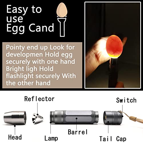 Egg Candler for Chicken Eggs, Rechargeable USB Egg Candling Light | High-Intensity Egg Candler Tester for Dark Eggs, All Chicken, Duck, and Quail - color: Dark Silver