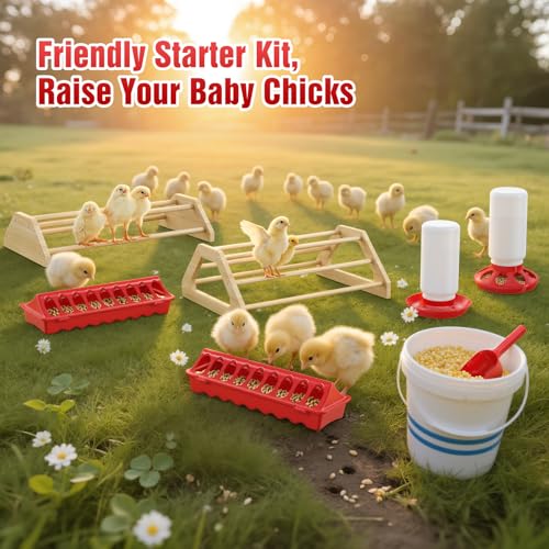 Pawaboo 7-in-1 Chicken Brooder Box Chick Starter Kit, Red + Wood Color | Includes Chicks Perches, Chicken Feeders, Chick Waterers, Chickens Feeding Spoon, Chicks Supplies (Brooder Set) - color: Red + Wood Color