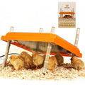 Brooder Heater for Chicks Height Adjustable: Heating Plate with Easy- Cleaning Plate Poultry Coop Warmer 10" x 10" for 15 Chicks - color: Orange-10x10