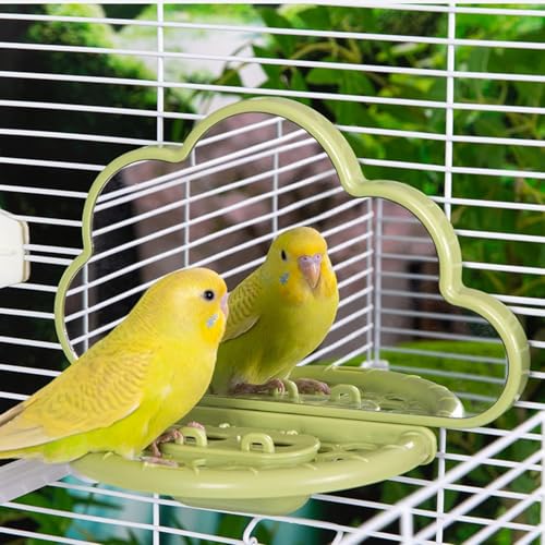 septillar Bird Mirror with Perch Stand, Bird Toys for Parakeet Cockatiel Conure Lovebirds Finch Canaries (Green) - color: Green