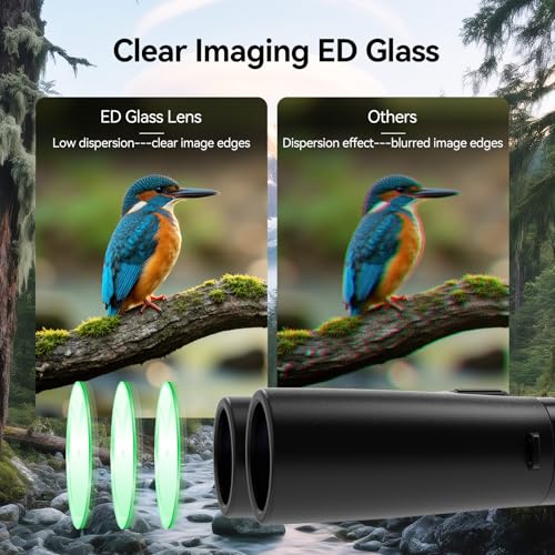 SVBONY Upgraded SV202 10x42 ED Binoculars for Adults 10x High Magnification | Wide Field of View, Extra-Low Dispersion, BAK4 & FMC Optic System, IPX7 Waterproof, Clear, Bright, Distortion Free Low Light - size: 10x42mm