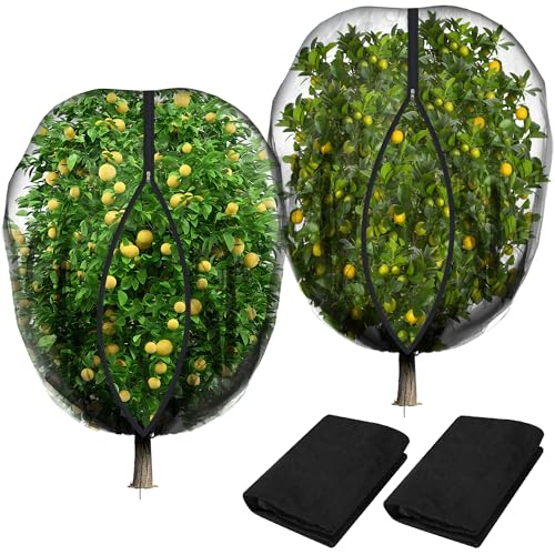 2 Pcs Black Large Fruit Tree Netting with Zipper and Drawstring, 5.3 x 5.3 Ft Breathable Mesh Garden Bird Netting Plant Cover, Insect Bird Barrier Net Mesh for Protect Plants from Squirrel Bugs - color: 2 Pcs, size: 5.3 x 5.3 Ft