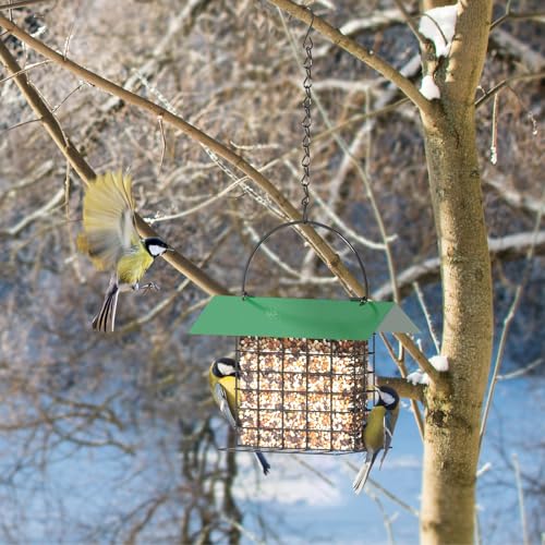 Bird Feeder for Outdoors, Squirrel Proof Suet Feeder for Outside Hanging | Adjustable Chain Hanging for Garden Yard Outside - Suet Cake Feeders Squirrel Proof Birdfeeder