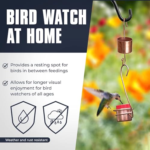 Monarch Abode Hanging Hummingbird Feeders for Outdoors – Pure Copper Handcrafted Single Hanging Hummingbird Feeder, Decorative Humming Bird Feeders for Outdoors Garden Patio Deck, Pack of 2 - style: Single Feeder (2-Pack)