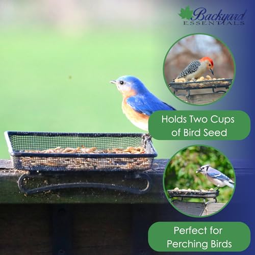 Ground and Deck Tray Feeder for Birds and Squirrels | Black Steel Mesh Tray Feeder - Holds 2 Cups of Seed, Nuts, or Mealworms for Ground Birds, Squirrels, Chipmunks, and Rabbits