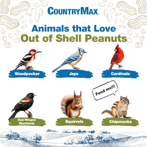 CountryMax Backyard Seeds Shelled Whole Peanuts for Woodpeckers, Birds, Squirrels & Wildlife – Premium Wild Animal Food, 10 lbs Bag - size: 10 Pound (Pack of 1), style: Shelled Peanut Pickouts