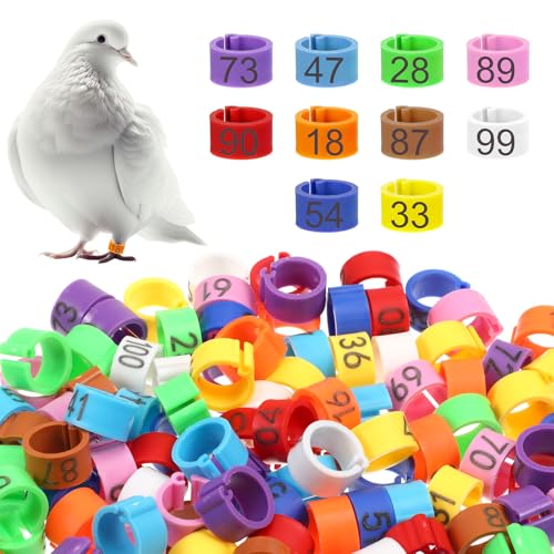 100 Pcs 8mm Birds Leg Rings, Pigeons Identification Leg Rings | Colorful Readable Numbered Pigeons Quail Chick Leg Bands Clip on Leg Rings for Baby Chick Bantam Finch Dove Small Birds