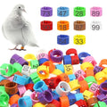 100 Pcs 8mm Birds Leg Rings, Pigeons Identification Leg Rings | Colorful Readable Numbered Pigeons Quail Chick Leg Bands Clip on Leg Rings for Baby Chick Bantam Finch Dove Small Birds