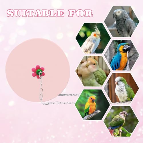 Bird Beak Grinding Stone – Large Blue Cylinder Parrot Chew Toy with Metal Hanging Chain – Cage Accessory for Macaws, African Greys, Cockatiels & Medium to Large Birds - color: pink