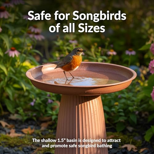 Sunnydaze Modern Bird Bath for Outside, Iron, 23” H, Matte Canyon Clay | UV & Rust-Resistant Matte Finish, Durable Iron,1 Gal Water Cap, Outdoor Birdbath for Garden, Pedestal Bird Bath with Bowl - color: Matte Canyon Clay