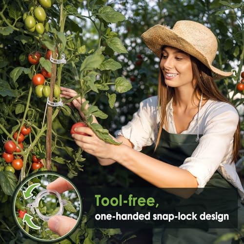 300PCS Plant Support Clips, Reusable Tomato Clips for Climbing Plants | Secured Plastic Tomato Plant Clips Garden Trellis Clips Plant Fixing Clips for Tomato Grape Cucumber Vine