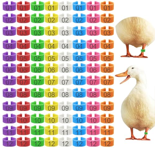96 Pcs 20mm Duck Identification Leg Bands with 8 Color, Chicken Duck Ankle Tags Poultry Leg Foot Rings for Ducks Chicken Guinea Goose Gamefowl Turkey - size: 20mm - 8 Colors