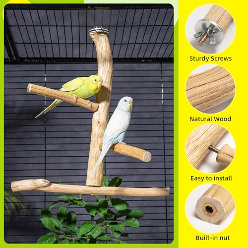 Bird Perch for Top of Cage, Natural Wood Play Stand
