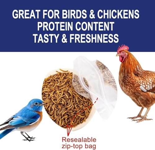 RANZ 8LBS Non-GMO Dried Mealworms for Chickens, High Protein Meal Worms, Premium Chicken Feed, Whole Large Mealworms for Blue Birds, Ducks, Fish - size: 8 Pound (Pack of 1)