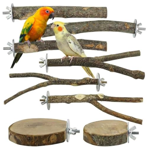 8PCS Bird Perch Stand, Natural Wood Parrot Stand Branch Paw Grinding Y Fork,Bird Cage Branch with Wooden Hanging Perch Platform Hammock Swing Toy for Small Parakeets,Budgies,Cockatiels,Conures,Finches