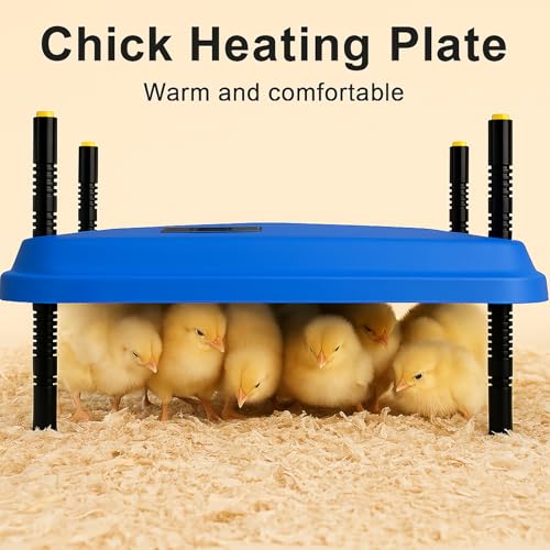 Adjustable 16x16 brooder Heating Plate for Baby Chicks, Providing Constant, efficient Warmth. Safe, Energy-Saving, Easy to Assemble and Clean. Perfect for Chicken Brooding (Blue)