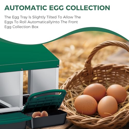Chicken Nesting Box 3-Compartment Roll-Out with Pull-Out Trays, Egg Nesting Boxes for Hens, Chicken Coop Laying Box,Easy Wall Mounting with Metal Legs - color: green, size: 3 holes