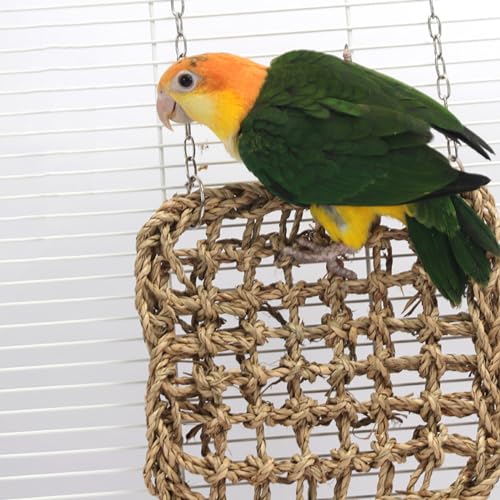 2 PCS 7 x 7 Inches Seagrass Mat, Natural Seagrass Woven Bird Net Hammock Mat, Cage Accessories, Climbing Rope Ladder Chew Toys for Parrots, Cockatoos, Lovebirds, Cockatiels, Budgies, Parakeets - size: 7 x 7 Inch