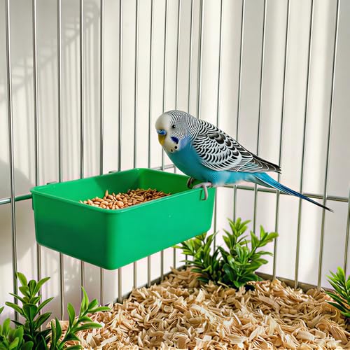 2 Pcs Pet Bird Parrot Food Bowls Small Animal Feeder Bowl Basic Dish Convenient Hanging Container for Small Bird Parrot