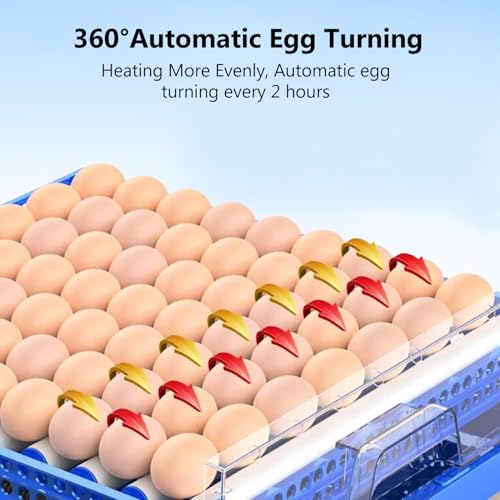 Automatic Eggs Incubator, Large Incubators for Hatching Eggs | Automatic Egg Turning & Temperature Control, Poultry Hatcher Machine for Chicken Duck Goose Quail Bird (256 Eggs) - size: 256 Eggs