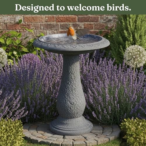 Pedestal Birdbath with Solar Fountain, Resin Stone Composite Outdoor Garden Decor, Standing Bird Bath for Outside Patio Yard, 23-Inch Tall, Garden Fountain, Resin Bird Baths, Hummingbird Bowl - color: Weathered White