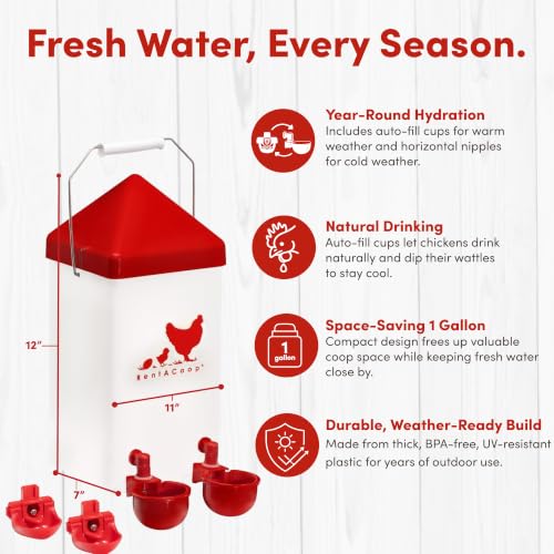 RentACoop 1 Gallon Chicken Waterer with Cups & Nipples
