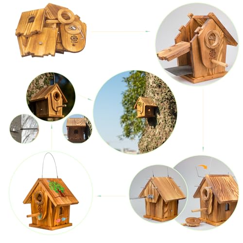 Bird House Kit for Kids & Adults, DIY Cedar Birdhouse with Paint | Mortise & Tenon, Carbonized Cedar, 3 Entrance Sizes, Stainless Steel Hooks, for Bluebird Wren Cardinal