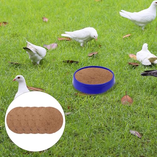 SEWACC 10Pcs Natural Palm Nest Pads for Pigeon Egg Hatching Breathable Bird Breeding Mats Pet Supplies Suitable for Parrots Hamsters and Poultry Eco-Friendly Material