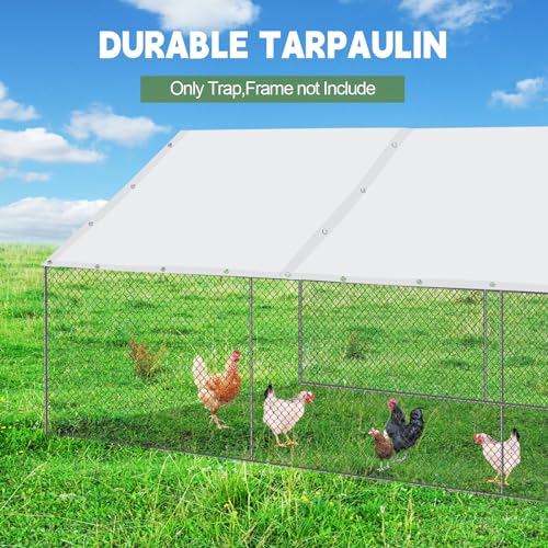 VitalCozy 1 Set Chicken Coop Cover Waterproof 11.5 x 6.6 ft Chicken Cover Coop Tarp with 25 Pcs Ball Bungees Cords, Accessories for Walk-in Run Pen, Outdoor, Yard