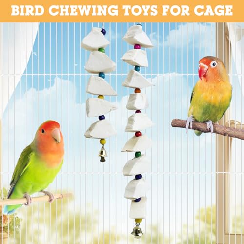 BNOSDM Bird Toys with Cuttlebone 4 Pack Hanging Cuttle Bone Chew Toys Natural Bird Beak Grinding Stone Parakeet Calcium Toys Bird Cage Accessories for Budgies Cockatiels Lovebirds Conures Parrots (9)