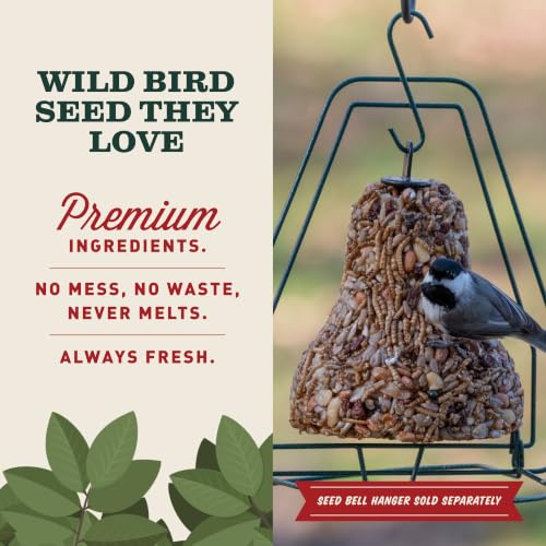 Mr. Bird Bugs, Nuts & Fruit Wild Bird Seed Bell, 2-Pack, 12.5 oz | Premium Blend of Mealworms, Sunflower Hearts & Cranberries | No Melt | Handcrafted in Texas - size: 12.5 Ounce (Pack of 2)