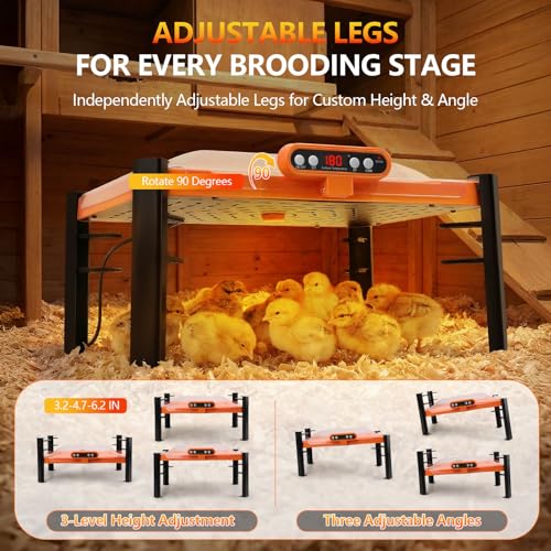 11 x 15 Chick Brooder Plate & Chicken Coop Heater, Smart Display | Temperature Display, Adjustable Height, Memory Function, Overheat Protection for Safety, 150W Energy Efficient