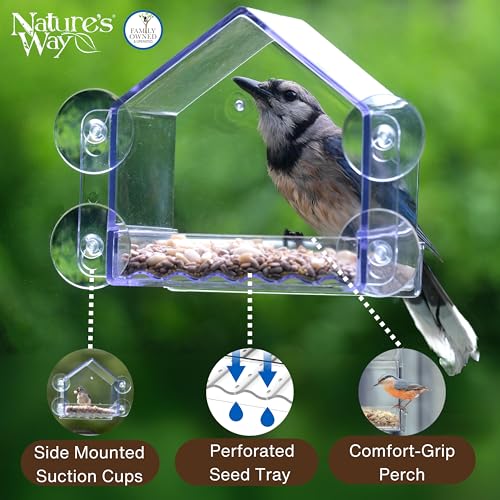 Nature’s Way Crystal Window Seed Feeder with 4 Secure Suction Cup Mount, Clear 2-Cup Capacity Hanging Bird Feeder for Close-Up Viewing, 6.5"