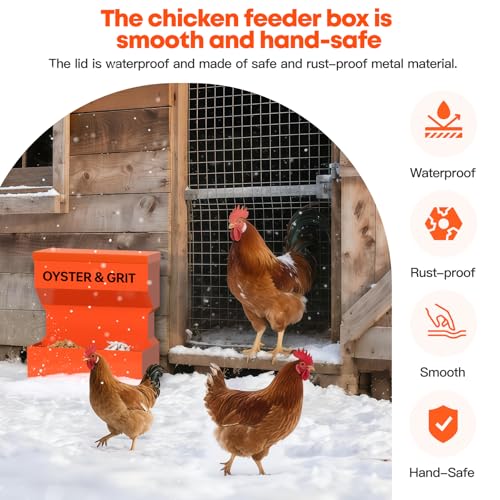 CHUANGFENG Chicken Feeder – Wall Mounted Metal Oyster Shell & Grit Feeder for Chickens, Heavy Duty Coop Feeder with Rust-Resistant Steel, Ideal for Backyard Poultry & Small Farms