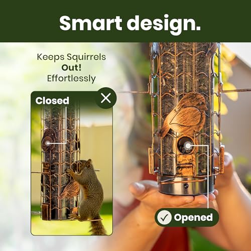 Squirrel-Proof Bird Feeders for Outdoors Feeds Mealworms and Seeds - Large | 3-Pound Capacity, Weather-Resistant Hanging Tube for Birds Includes Seed Scoop, 4 Hook-Shaped Perches, Anti-Squirrel Weights