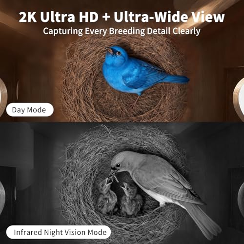 Birdhouses for Outside with Camera Solar Powered Perfect Birdwatching Gift | Smart Bird Feeder for Outdoors, 2K HD Live Video, Nesting Box with Motion Detection, Weatherproof, Bird Lover Gifts