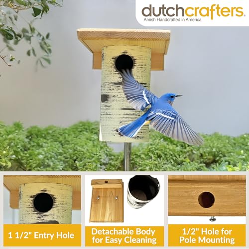 DutchCrafters Cedar Wood Pole Mount Gilbertson Bluebird House with Removable Base, Weatherproof Wooden Birdhouse Blue Bird Nesting Box for Outdoors - color: Natural