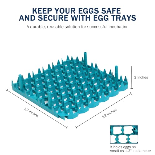 Universal Chicken Egg Trays (6 pack)