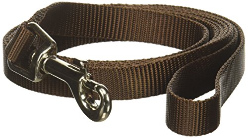 Zack & Zoey Basic Nylon Dog Leash, 6-Feet x 5/8-Inch Lead, Chocolate - color: Chocolate, size: 6-Feet x 5/8-Inch Lead