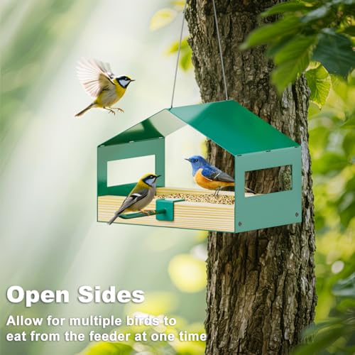 FANHAO Metal Bird Feeder for Outdoor Hanging, Wild Bird Feeder House with Rust-Resistant Mesh, Hanging Platform Bird House Feeder for Attracting Birds, Weatherproof, Easy to Clean & Refill