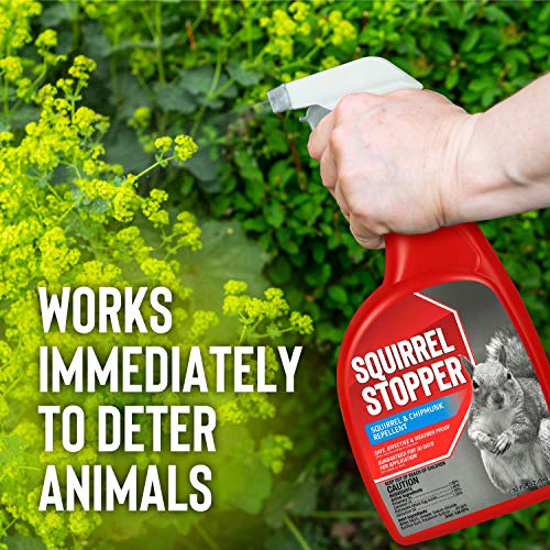 Squirrel Stopper Repellent Spray - Chipmunk & Squirrel Deterrent for Bird Feeders, Garden & Homes - Weather-Resistant Formula - Scent, Taste & Touch Barrier - Safe Around Kids & Pets - 1 Gallon - size: 128 Fl Oz (Pack of 1)